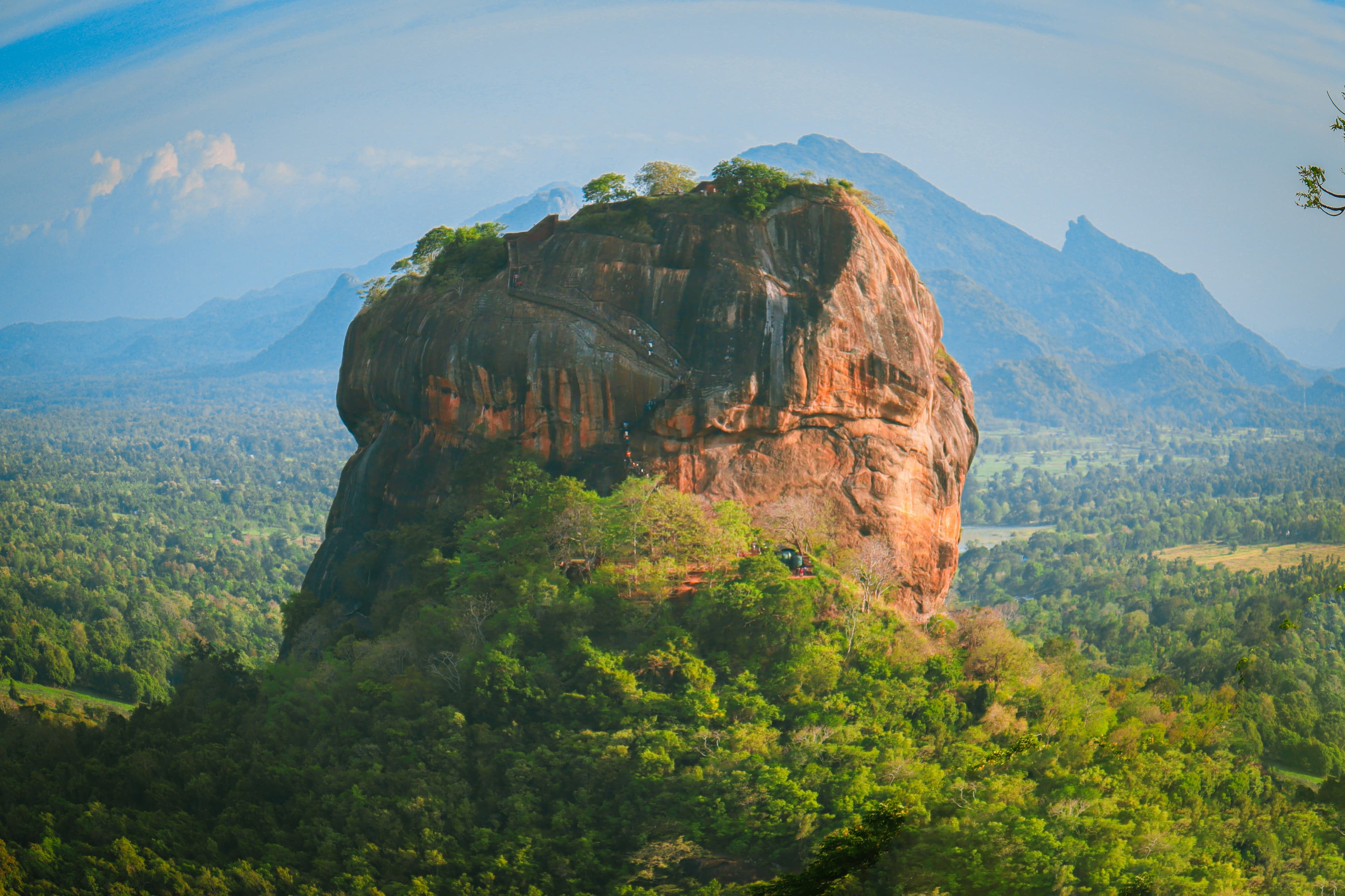 Honeyland Tours Background