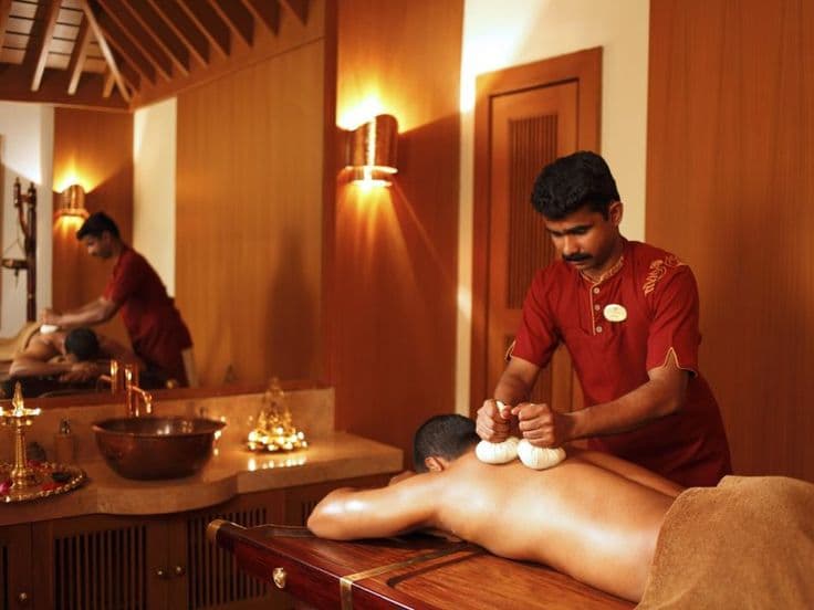 Ayurveda Wellness